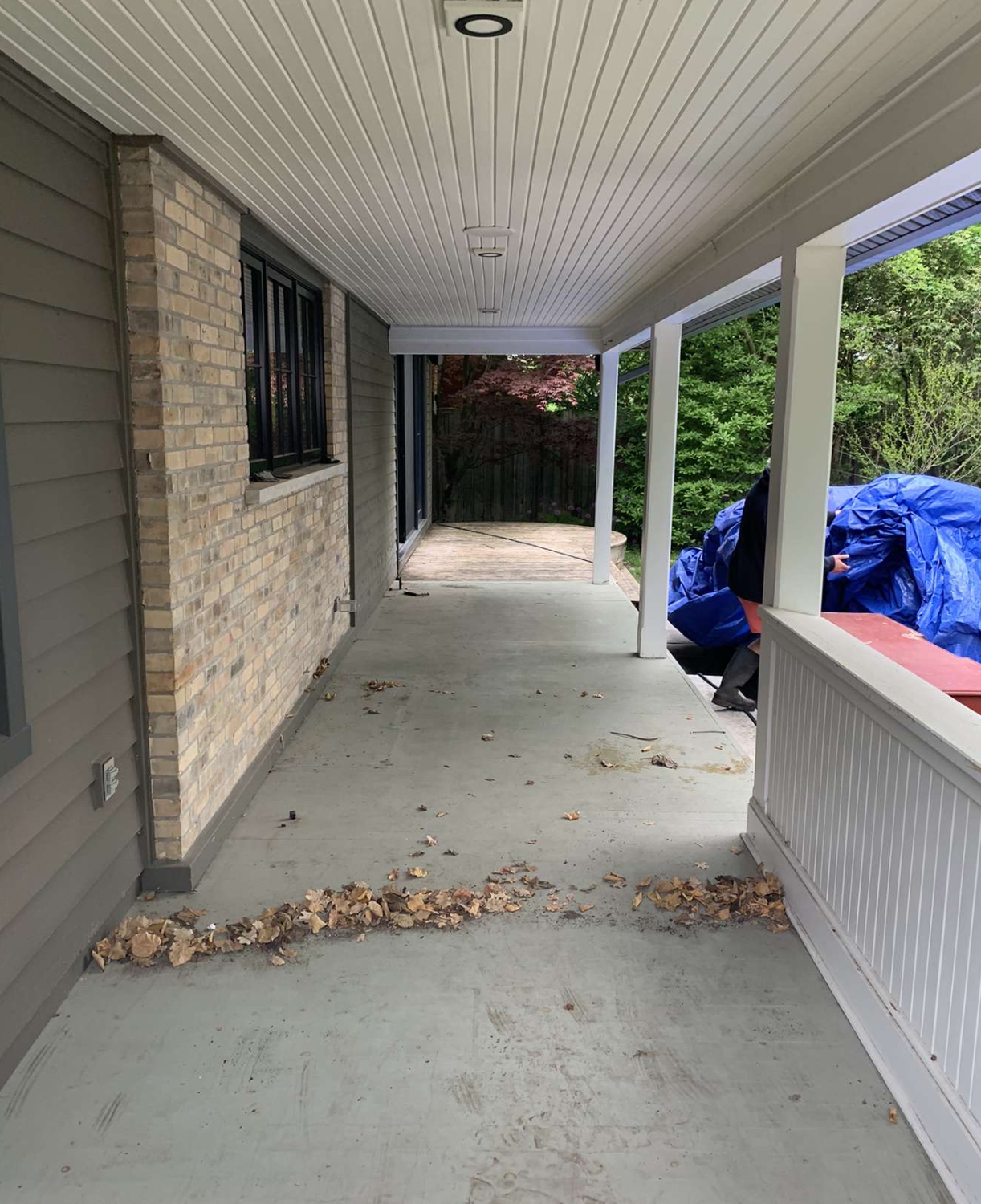 Deck before softwashing